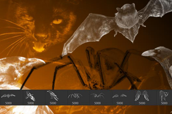 Halloween images as Photoshop brushes: spiders, cats, bats and more