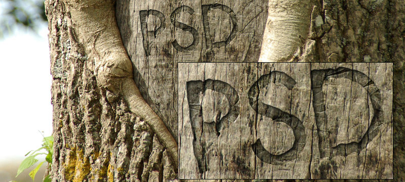 Effet de gravure sur bois pour la typographie et la mise en page