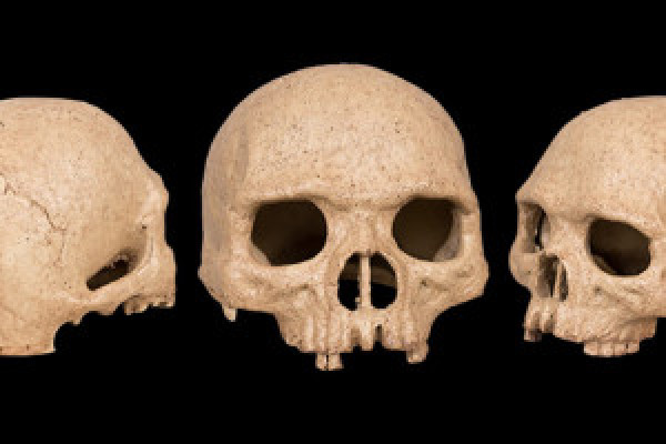 Pictures for horror and Halloween - 3 skulls