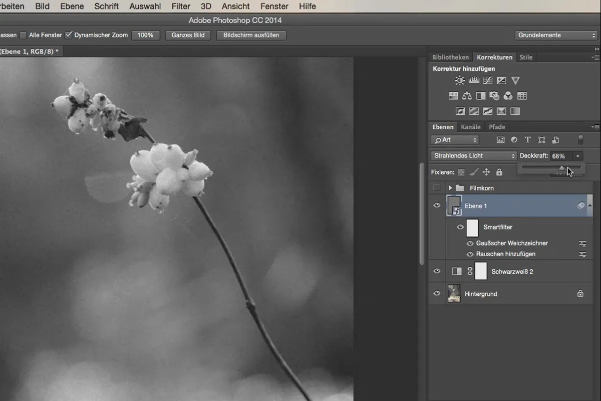 Atrodytis ir stilius su „Photoshop“ - dirbtinis filmo grūdelis