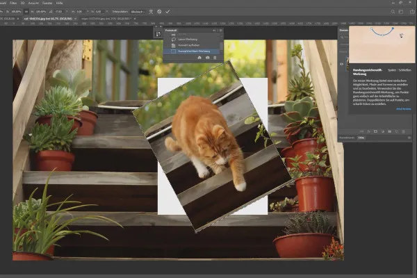 Neues in der Creative Cloud: Photoshop CC 2019 (Oktober 2018)