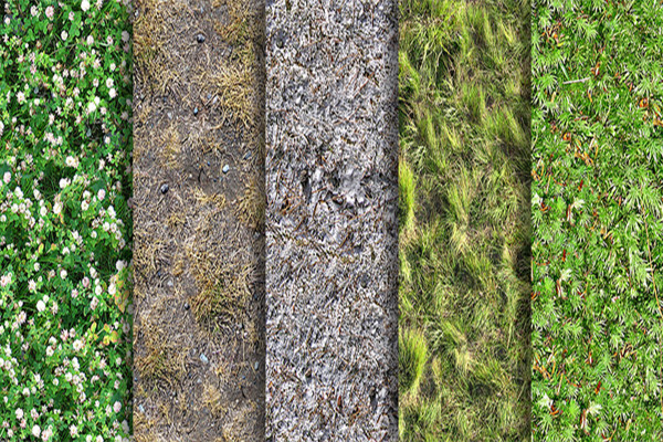 Pacchetto texture - texture fotorealistiche senza cuciture e tileabili - Erba