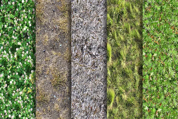 Texturenpaket - nahtlos kachelbare fotorealistische Texturen - Gras