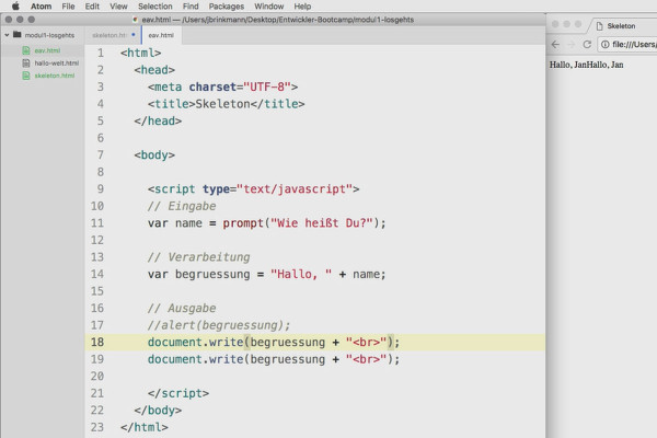 Software programming for beginners: 1.4 Input, output and processing (the EAV principle)