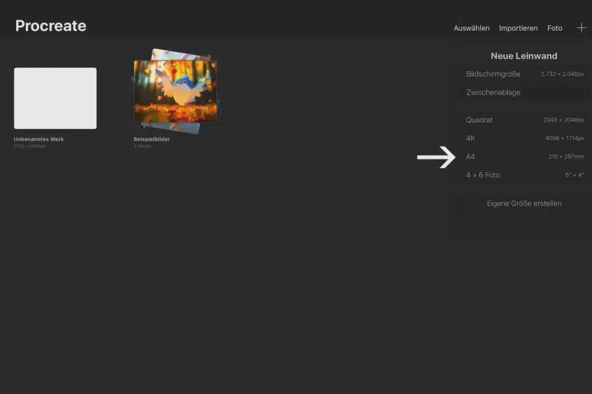 Procreate-Tutorial – Grundlagen zum digitalen Zeichnen auf dem iPad: 1.4 | Procreate-Leinwand anlegen