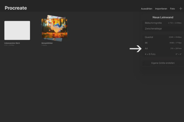 Procreate-tutorial - Grunderna för digitala ritningar på iPad: 1.4 | Skapa en Procreate-duk