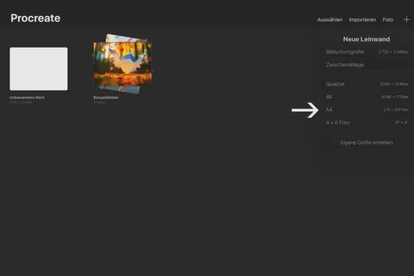 Procreate-Tutorial – Grundlagen zum digitalen Zeichnen auf dem iPad: 1.4 | Procreate-Leinwand anlegen