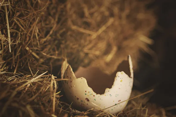 Picture of an Easter egg for magical Easter greetings: hidden in the hay