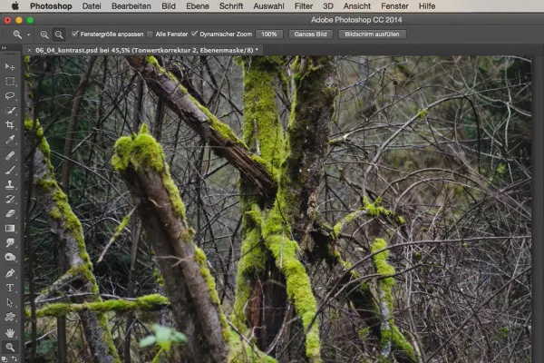Išvaizdos ir stiliai su „Photoshop“ - Kontrastas.