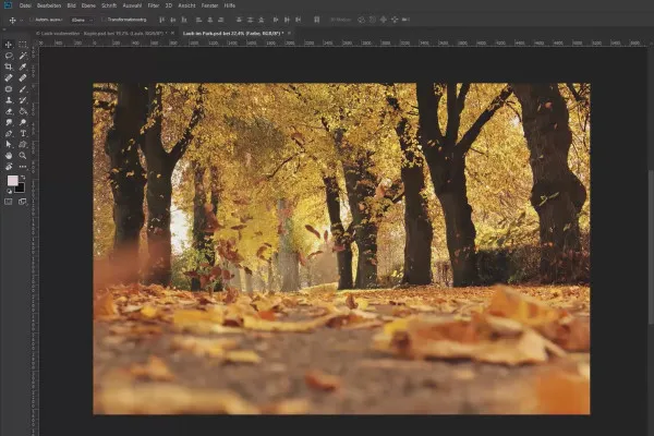Texturen in Photoshop kreativ anwenden: 5 Laub freistellen und in Bild einbauen