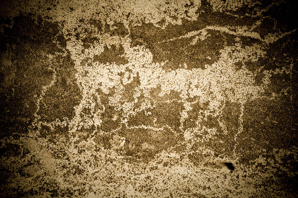 High-resolution wall and masonry textures in brown