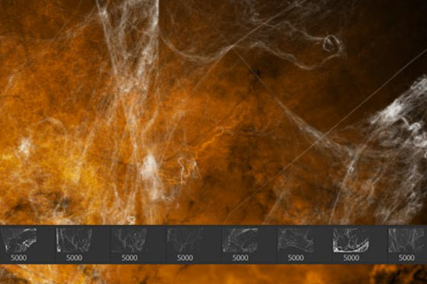 Halloween images as Photoshop brushes: spider webs