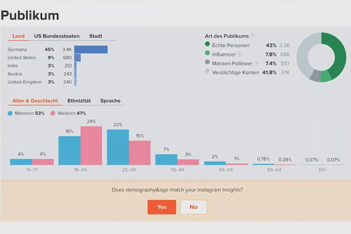 Influencer! Mit Instagram Geld verdienen | 2.2 Analysetools für Firmen