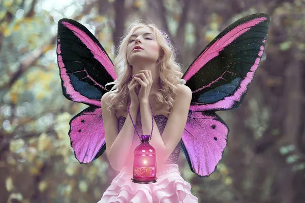Märchen- und Fantasy-Bilder: Bunte Schmetterlinge