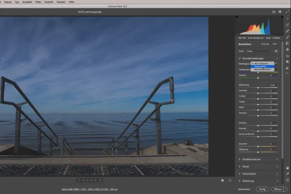 Camera Raw-opplæring: 2.2 | Hvitebalanse