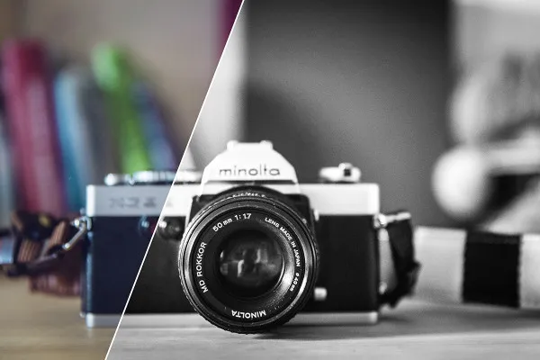 Preferenze di Camera Raw per fotografi e editori di immagini: filtro