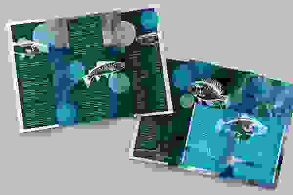 Designmaler for flygeblader og foldere - Versjon 5