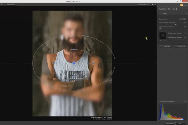 Nik Collection – Utseender, stiler og effekter med Analog Efex Pro 2: 5 Bokeh