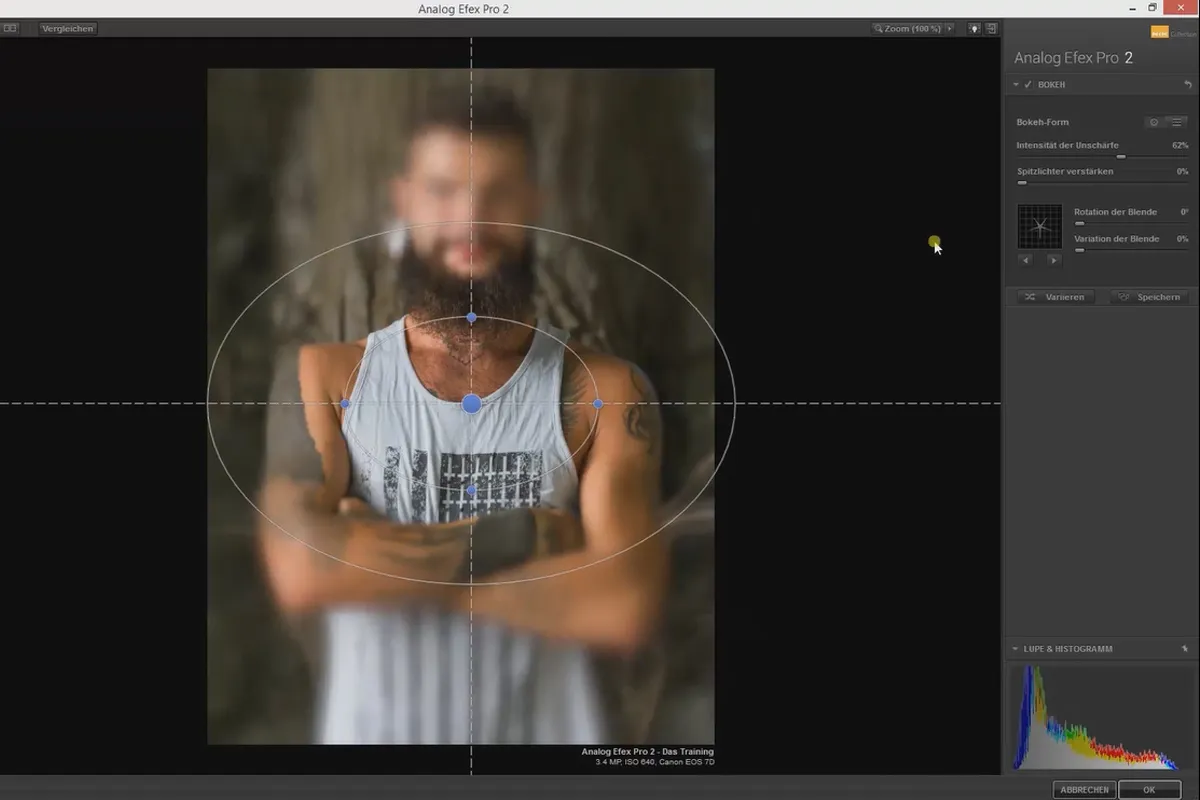 Nik Collection – Utseender, stiler og effekter med Analog Efex Pro 2: 5 Bokeh
