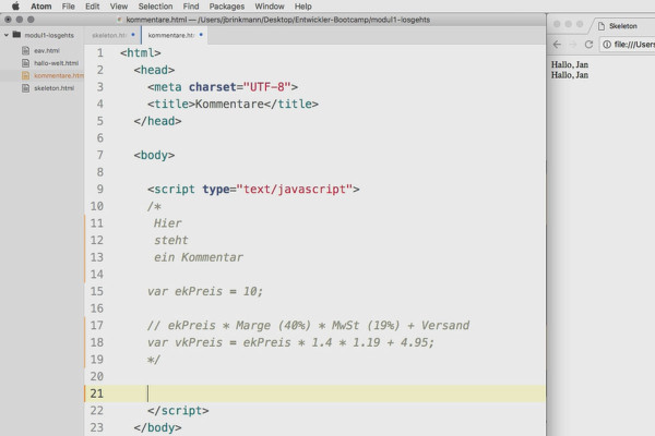 Software programming for beginners: 1.5 comments