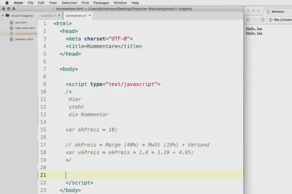Programmazione software per principianti: 1.5 Commenti.