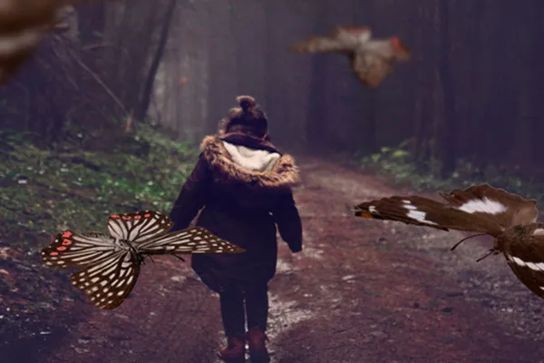 Butterflies: 25 images as overlays - Version 5