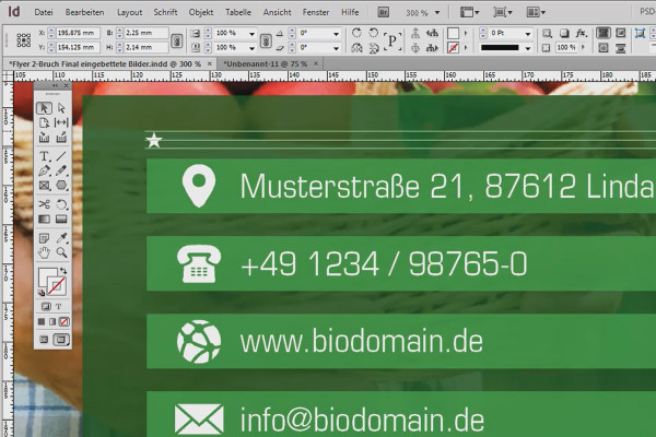 Adobe InDesign tips & tricks: Multiple copying of objects - keyboard acrobats take note