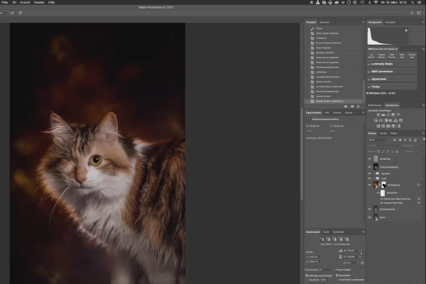 Epische kattenportretten zelf fotograferen - 5 Beeldbewerking, Deel 2/3