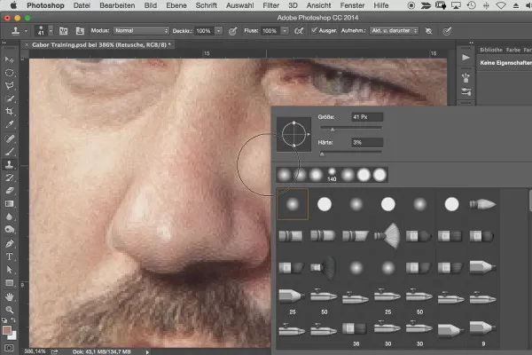 Foresta Nera: Il flusso di lavoro in Photoshop - 05 Ritocco