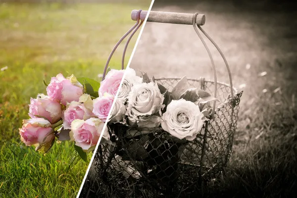 Preset Camera Raw per fotografi e editor di immagini: monochrome