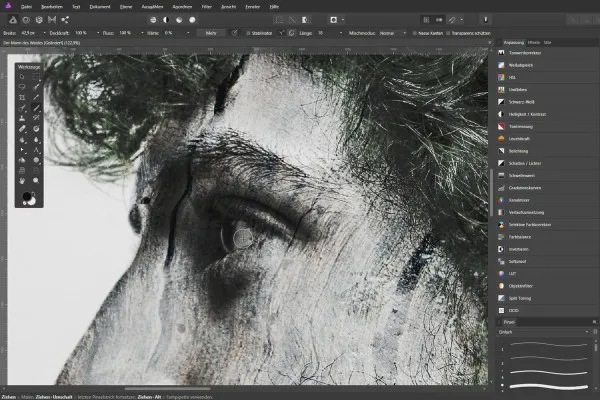 Affinity Photo – kreative Bildbearbeitung mit Overlays: 06 | Der Mann des Waldes