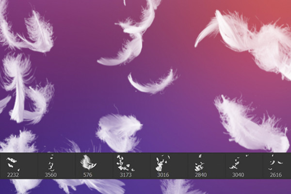 Photoshop ve diğerleri için fırça: Tüy Motifleri 1