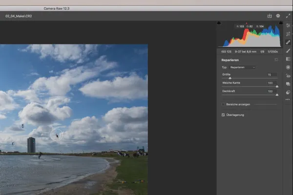 Camera Raw-opplæring: 2.4 | Fjerning av feil