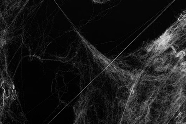 Overlays for horror and Halloween - 6 spider webs I