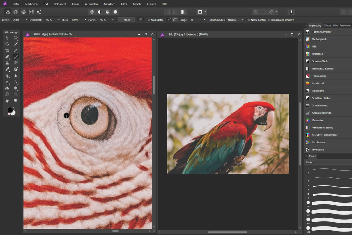 Affinity Photo-tutorial - Grunnleggende: 1.7 | Navigere gjennom et bilde