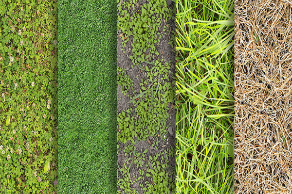 Texturas de césped fotorrealistas de alta resolución basadas en imágenes reales