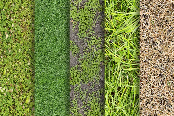 Hochauflösende fotorealistische Gras-Texturen basierend auf Echtaufnahmen