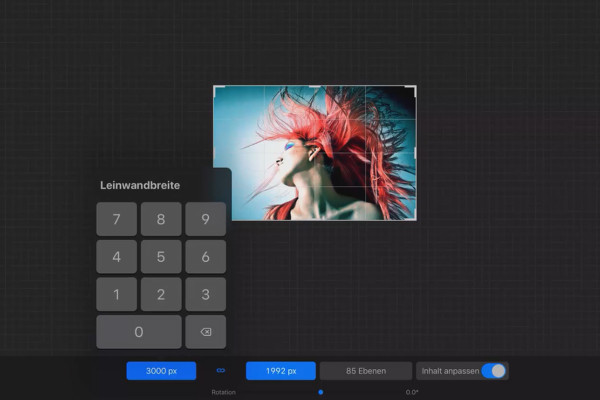 Procreate-tutorial - Grundläggande om digital ritning på iPaden: 1.7 | Arbeta med duken