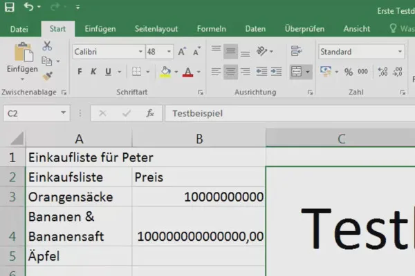 Excel-Grundlagen – Einführung für Anfänger: 08 Zellen anpassen und verbinden