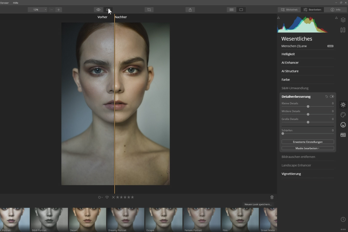 Skylum Luminar 4 - Tutoriel: 1.8 | Comprendre et appliquer les modèles