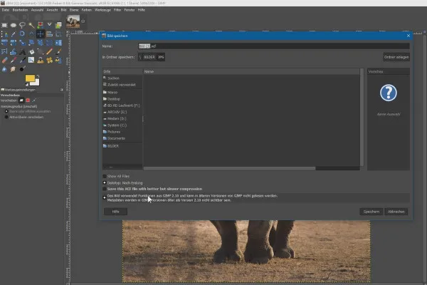 Nuove funzioni in GIMP 2.10: 1.7 | Salva