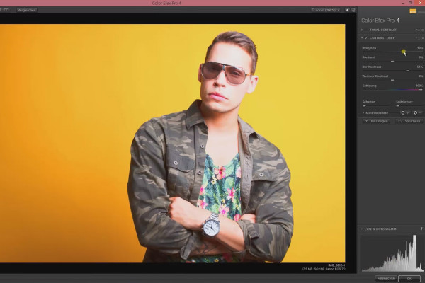 Nik Collection - Looks & Styles met Color Efex Pro 4: 8 Histogramm