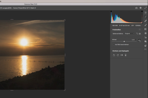 Guida a Camera Raw: 2.5 | Raddrizzamento