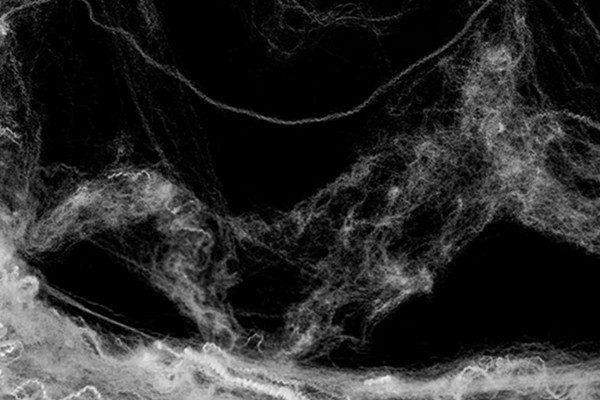 Overlays for horror and Halloween - 7 cobwebs II