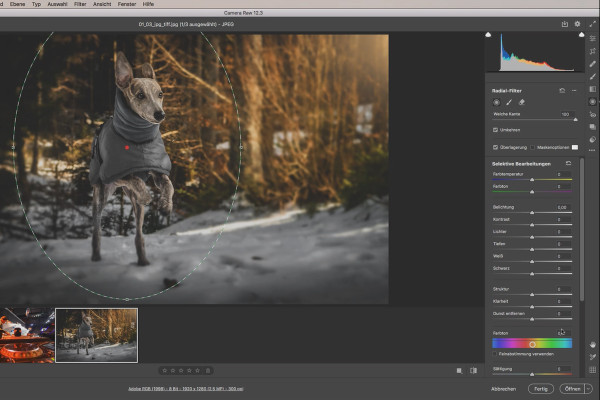 Camera Raw-opas: 1.1 | Yleiskatsaus