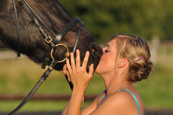 Fotografía de animales parte 08: Fotografía de caballos