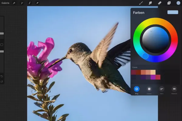 Procreate-Tutorial – Grundlagen zum digitalen Zeichnen auf dem iPad: 1.8 | Farbmanagement