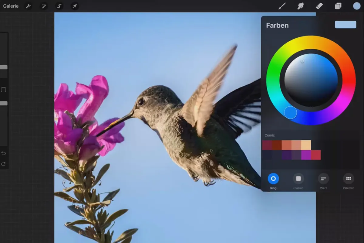 Procreate-Tutorial – Grundlagen zum digitalen Zeichnen auf dem iPad: 1.8 | Farbmanagement