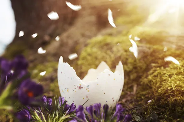 Picture of an Easter egg for magical Easter greetings: flowery forest scene