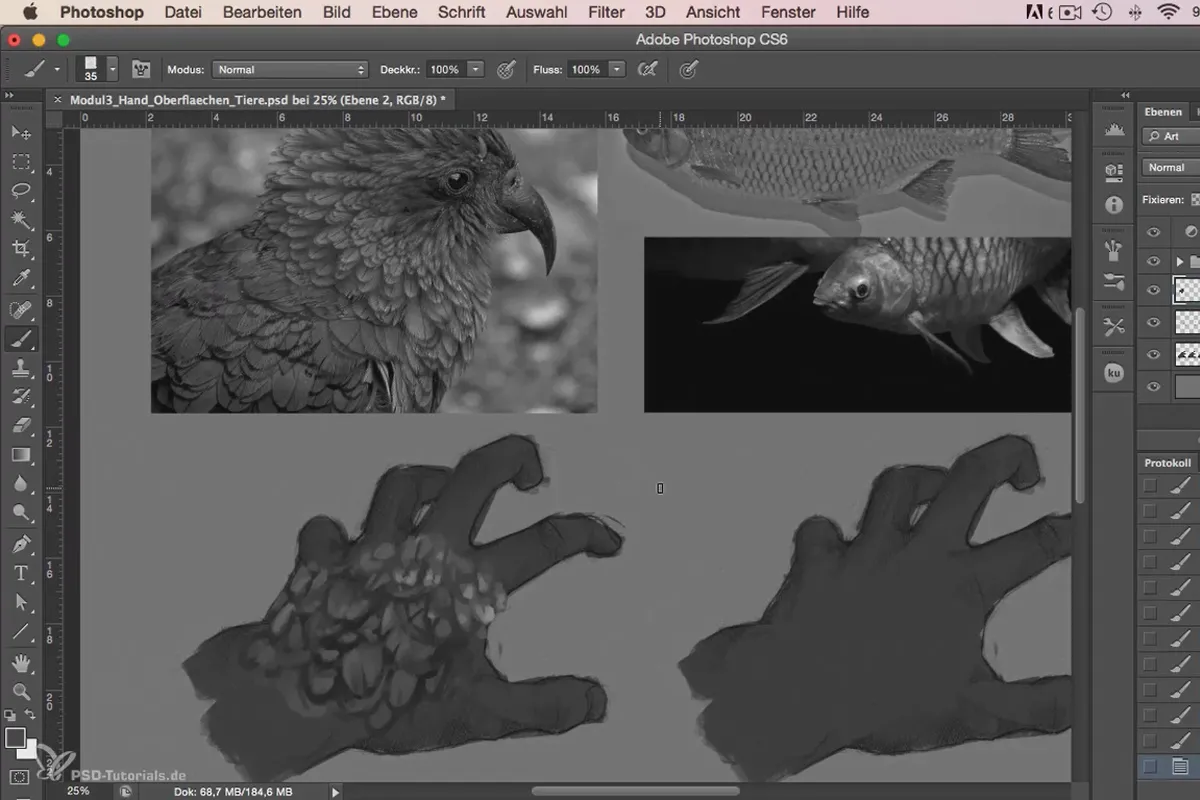 Character-Painting in Photoshop - Modul 3.1 Tierische Oberflächen - Federn